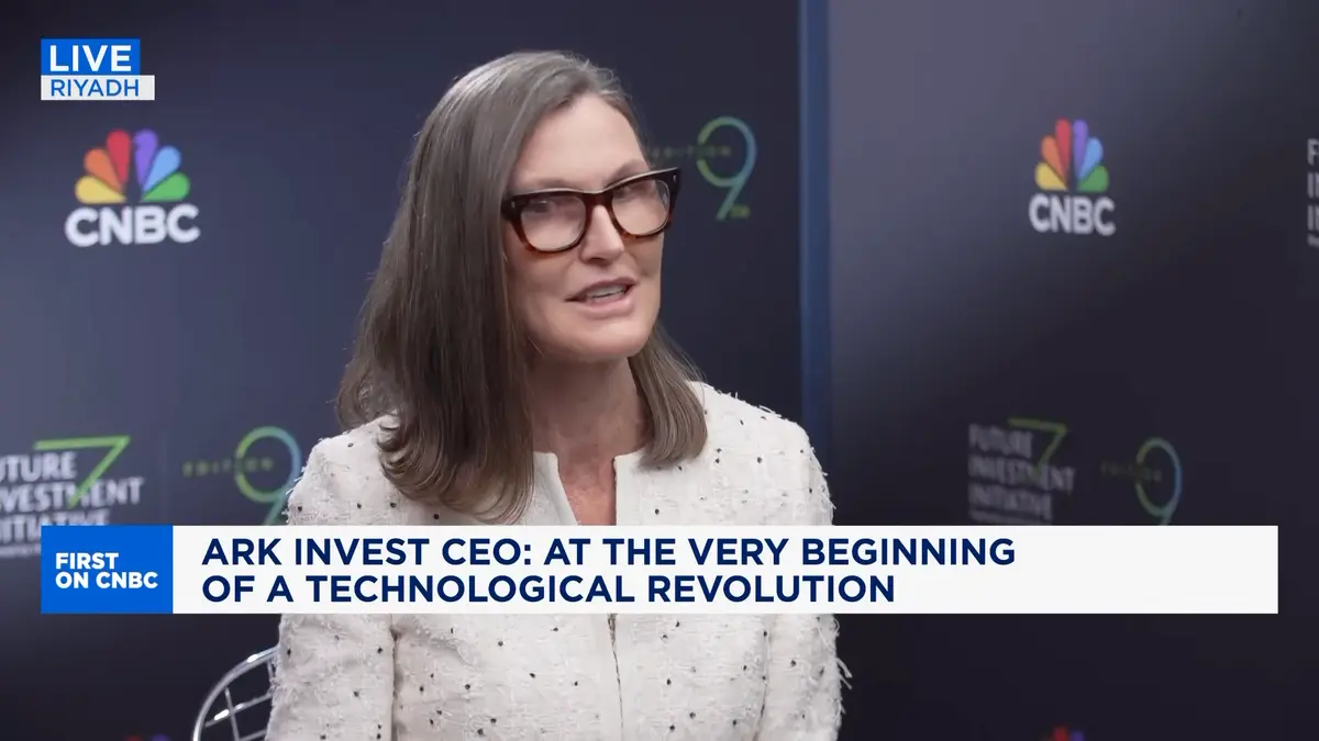 ARK Invest CEO Cathie Wood speaking during a CNBC interview, looking towards the camera with a serious expression.