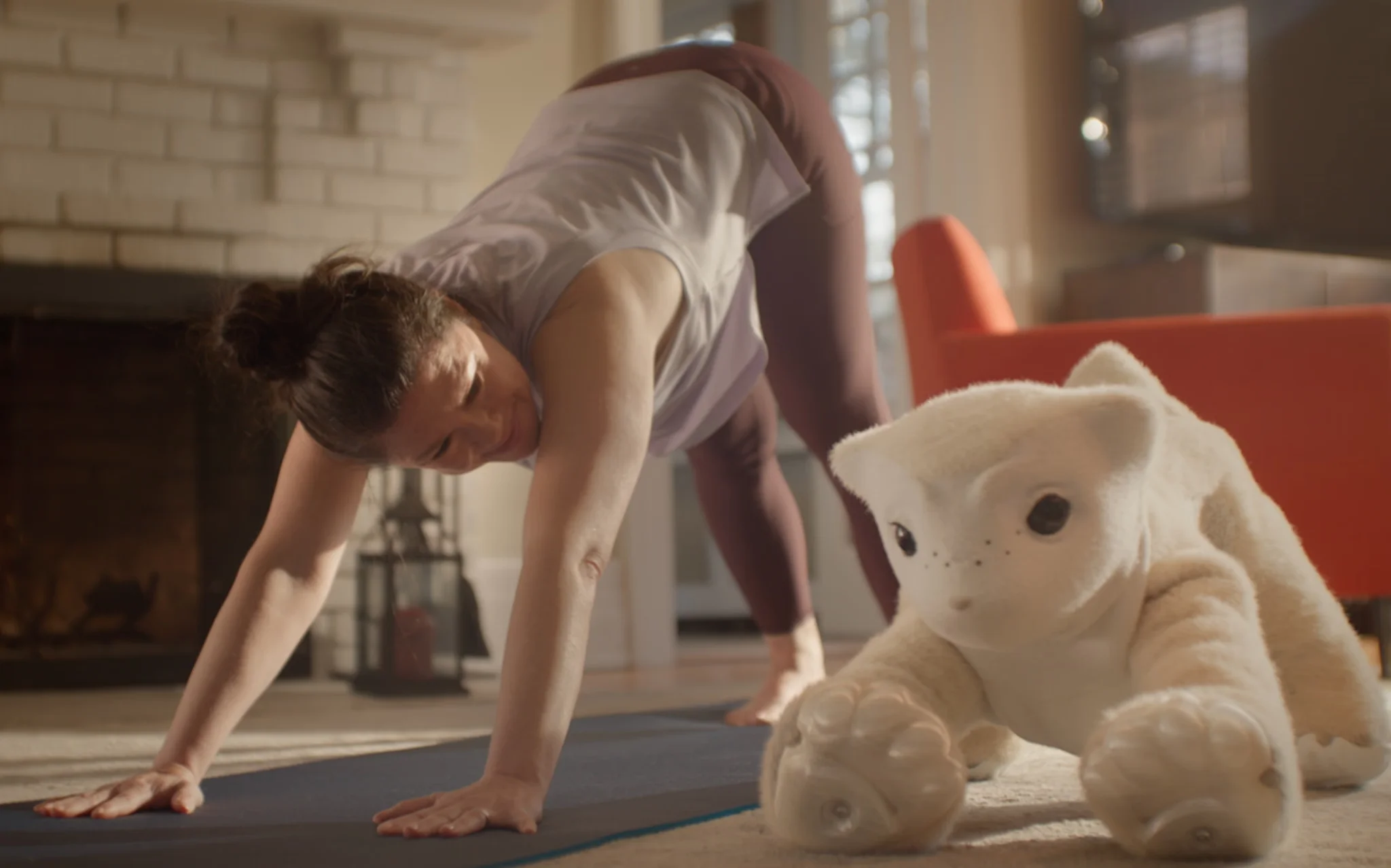 Beyond the Roomba: Colin Angle Unveils "Familiars" to Solve the Human Connection Gap