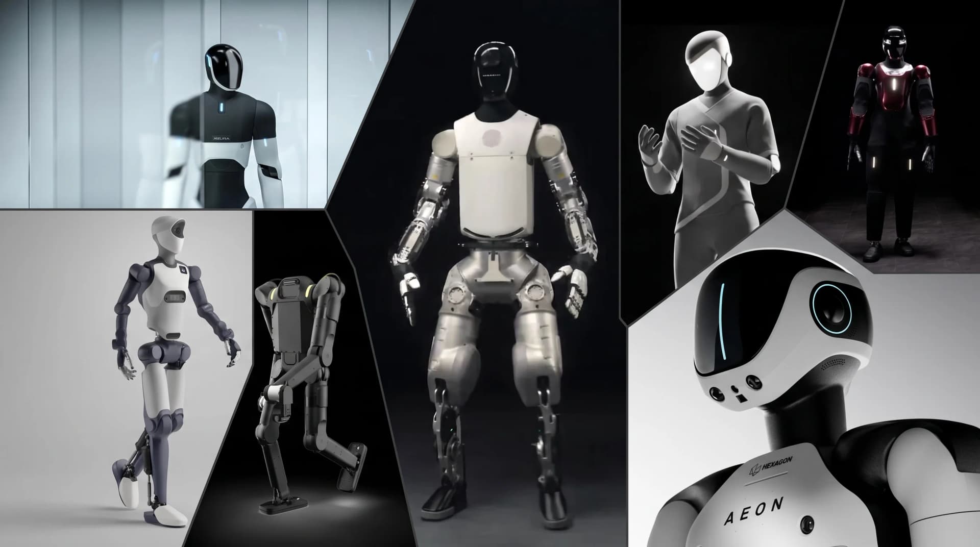 The Humanoids of Europe: Built by Their Customers