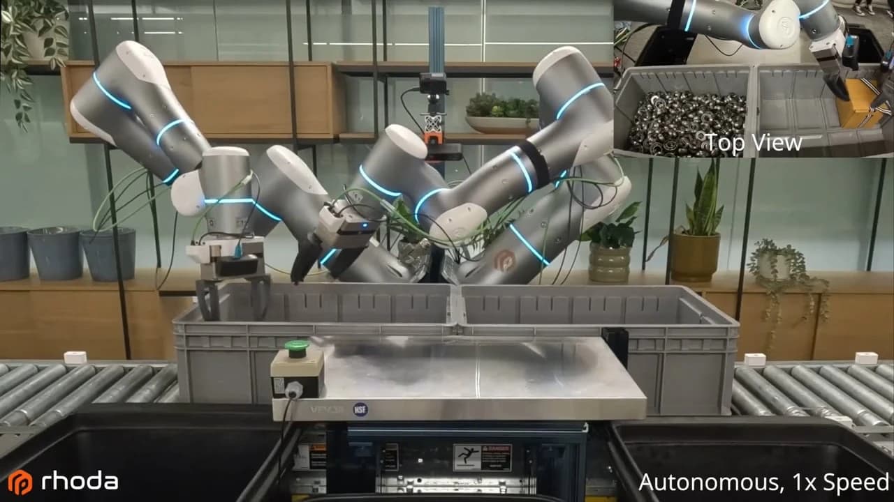 Rhoda Tests Whether Scaling Web-Video Pretraining Makes Robots Better at Real Work