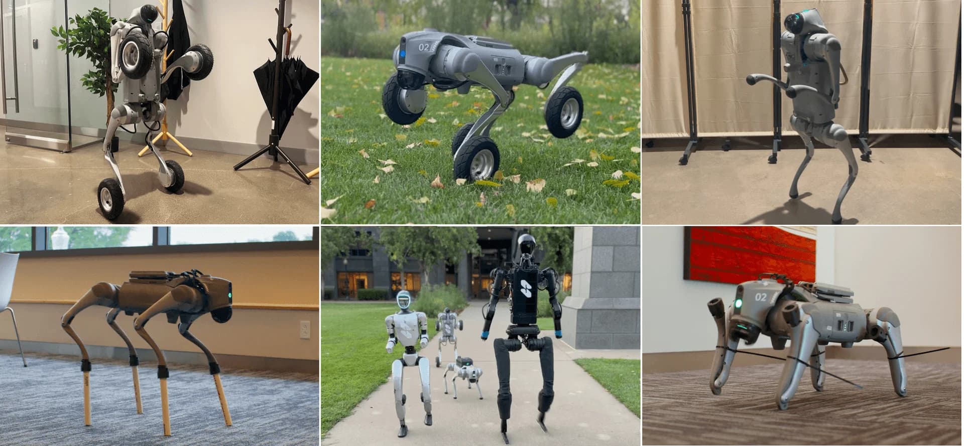 A collage of six images demonstrating Skild AI's robotics software across different form factors. Top row: A wheeled robot balancing upright in an office; a wheeled quadruped navigating grass; a bipedal robot walking indoors. Bottom row: A quadruped robot walking with wooden stilts attached to its legs; a group of two humanoid robots and one quadruped walking on a sidewalk; a robotic dog crouching on a carpet.