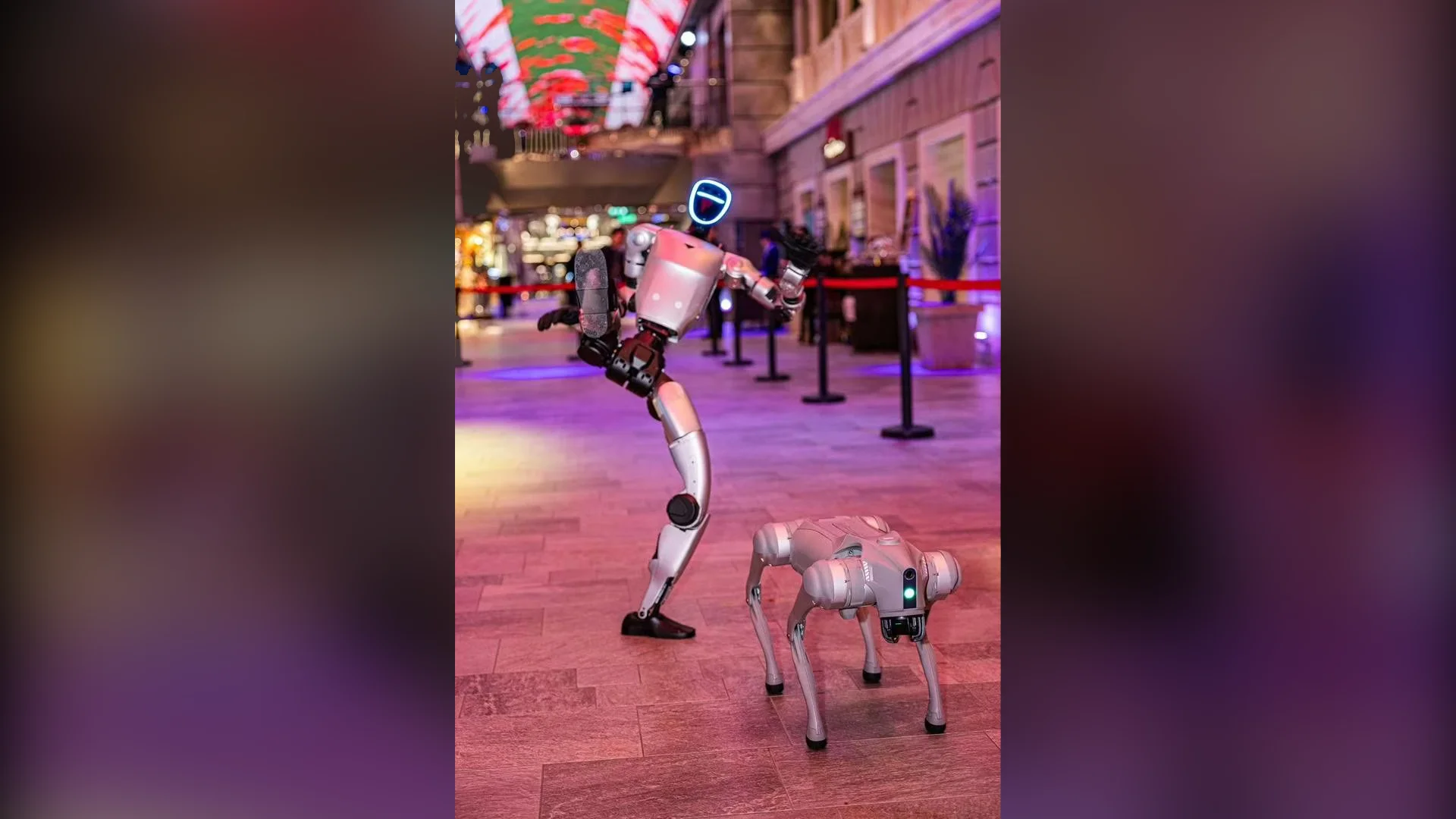 A silver Unitree humanoid robot performing a martial arts kick on one leg alongside a robot dog on the MSC Bellissima promenade. The ship's interior features stone-tiled floors, purple lighting, and high-end retail shops.