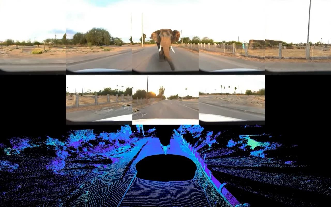 A simulation pane showing a Waymo vehicle encountering an elephant on a paved road, paired with a detailed 4D lidar reconstruction of the scene.